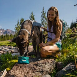 Ruffwear Flat Out Dog Collar - Blue Horizon 9 Ruffwear Flat Out Dog Collar - Blue Horizon -Haustierprodukte ruffwear flat out dog collar blue horizon 204839 0500 none