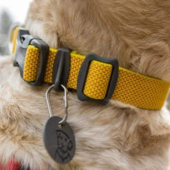 Ruffwear Hi & Light Halsband 12 Ruffwear Hi & Light Halsband -Haustierprodukte ruffwear hi light collar 194258 0500 none