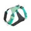 Ruffwear Hi & Light Harness 2 Ruffwear Hi & Light Harness -Haustierprodukte ruffwear hi light harness 196040 0500 none