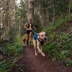 Ruffwear Roamer Leash - Blue Atoll 22 Ruffwear Roamer Leash - Blue Atoll -Haustierprodukte ruffwear roamer leash blue atoll 204797 0500 none