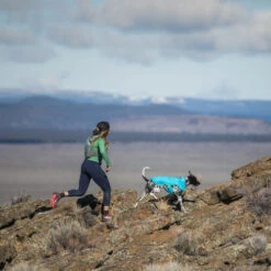 Ruffwear Wind Sprinter Jacket 11 Ruffwear Wind Sprinter Jacket -Haustierprodukte ruffwear wind sprinter jacket 124694 0500 none