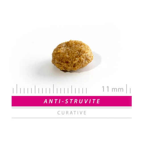 SANIMED Anti Struvite Dog 4 SANIMED Anti Struvite Dog – Bild 2