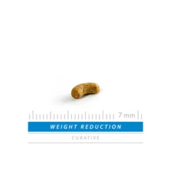 SANIMED Weight Reduction Dog 8 SANIMED Weight Reduction Dog -Haustierprodukte sanimed weight reduction dog 165226 0500 none