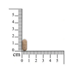 Omniderma Pferd 7 Omniderma Pferd -Haustierprodukte sensipharm omniderma paard 174766 0500 none