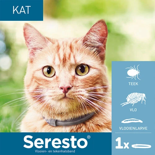 Seresto Für Katzen 4 Seresto Für Katzen – Bild 2