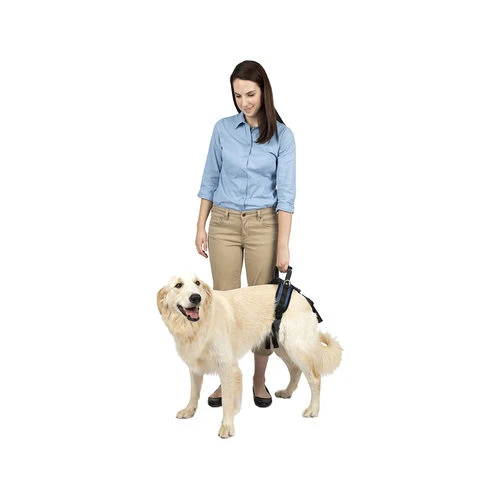 PetSafe Carelift - Tragesystem / Tragegeschirr Für Hunde 10 PetSafe Carelift - Tragesystem / Tragegeschirr Für Hunde – Bild 8