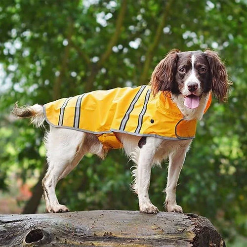 Sötnos Hunderegenmantel 4 Sötnos Hunderegenmantel – Bild 2