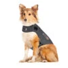 Thundershirt Für Hunde 1 Thundershirt Für Hunde -Haustierprodukte thundershirt hond 215942 0500 none
