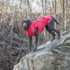 Trixie Regenjacke Vimy -Haustierprodukte trixie regenjas vimy 204854 0500 none