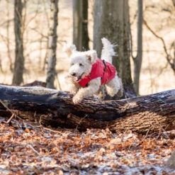 Trixie Regenjacke Vimy -Haustierprodukte trixie regenjas vimy 204857 0500 none