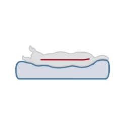 Trixie Vital Orthopädische Matratze Lonni 26 Trixie Vital Orthopädische Matratze Lonni -Haustierprodukte trixie vital ligmat lonni 217058 0500 none