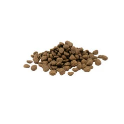 Versele-Laga Opti Life Sensitive 8 Versele-Laga Opti Life Sensitive -Haustierprodukte versele laga opti life sensitive 199883 0500 none