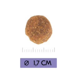 Vetality Adult Maxi - Hundefutter 9 Vetality Adult Maxi - Hundefutter -Haustierprodukte vetality adult maxi hondenvoer 213656 0500 none