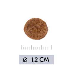 Vetality Hypoallergenic - Hundefutter 8 Vetality Hypoallergenic - Hundefutter -Haustierprodukte vetality hypoallergenic hondenvoer 195473 0500 none