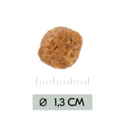 Vetality Metabolic & Mobility - Hundefutter 9 Vetality Metabolic & Mobility - Hundefutter -Haustierprodukte vetality metabolic mobility hondenvoer 195470 0500 none