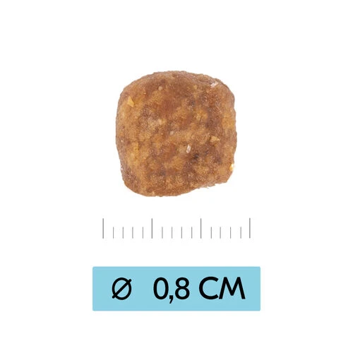 Vetality Puppy Medium - Hundefutter 6 Vetality Puppy Medium - Hundefutter – Bild 4