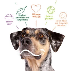 Yarrah - Bio Trockenfutter Vega Getreidefrei 9 Yarrah - Bio Trockenfutter Vega Getreidefrei -Haustierprodukte yarrah bio droogvoer hond vega graanvrij 201212 0500 none