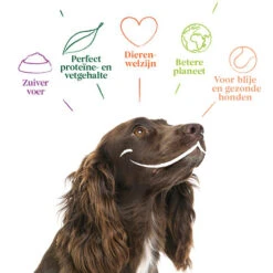 Yarrah - Hundefutter In Soße Vega Mit Hagebutten Bio 10 Yarrah - Hundefutter In Soße Vega Mit Hagebutten Bio -Haustierprodukte yarrah bio natvoer hond kuipje chunks vega 200843 0500 none