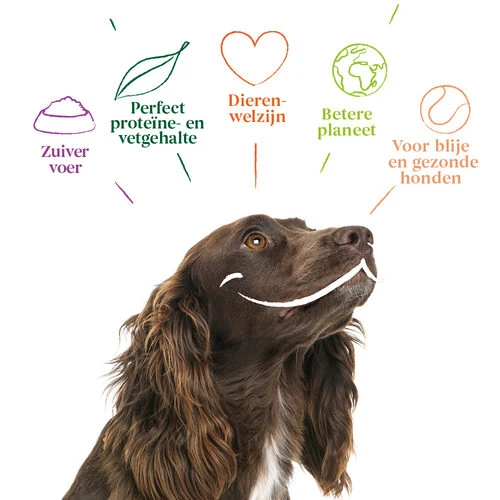 Yarrah - Hundefutter In Soße Vega Mit Hagebutten Bio 6 Yarrah - Hundefutter In Soße Vega Mit Hagebutten Bio – Bild 4