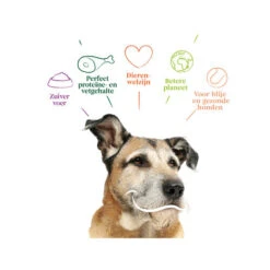 Yarrah - Trockenfutter Senior Mit Huhn, Fisch Und Kräutern Bio 9 Yarrah - Trockenfutter Senior Mit Huhn, Fisch Und Kräutern Bio -Haustierprodukte yarrah droogvoer hond senior bio 201146 0500 none