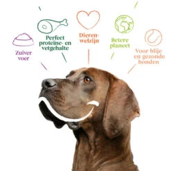 Yarrah - Trockenfutter Sensitiv Mit Huhn Und Reis Bio 9 Yarrah - Trockenfutter Sensitiv Mit Huhn Und Reis Bio -Haustierprodukte yarrah droogvoer hond sensitive bio 199148 0500 none