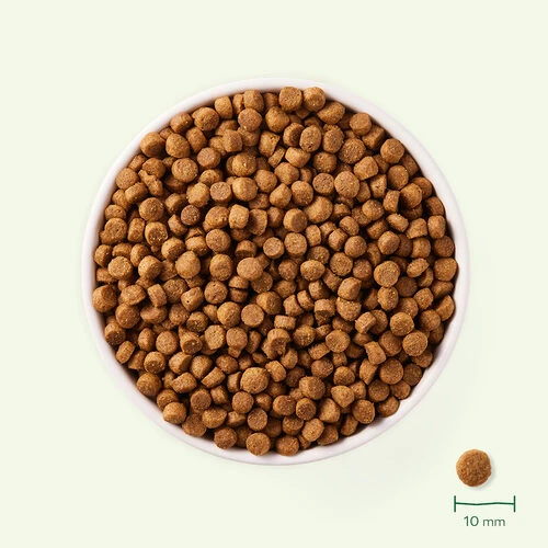 Yarrah - Trockenfutter Für Kleine Rassen Mit Huhn Bio 5 Yarrah - Trockenfutter Für Kleine Rassen Mit Huhn Bio – Bild 3