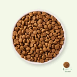 Yarrah - Trockenfutter Für Welpen Mit Huhn Bio 7 Yarrah - Trockenfutter Für Welpen Mit Huhn Bio -Haustierprodukte yarrah droogvoer puppy bio 199694 0500 none