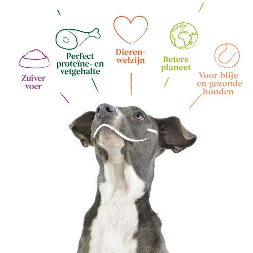 Yarrah - Hundefutter In Soße Rind Mit Petersilie & Thymian Bio – Bild 5