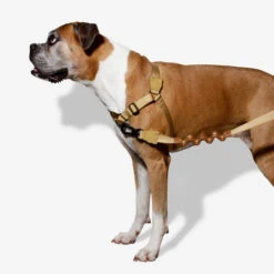 Zee.Dog Soft Walk Harness -Haustierprodukte zeedog soft walk harness 200678 0500 none